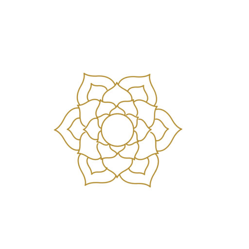 cropped-3D66EF4E-E299-4262-B8DD-AB465D448F59-2.jpeg